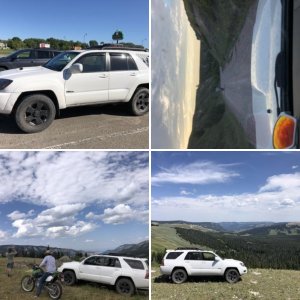 Badlands/Blackhills/Bighorns