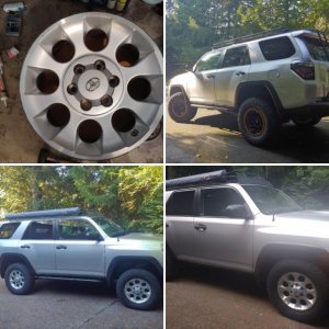 BZ's 2010 TE