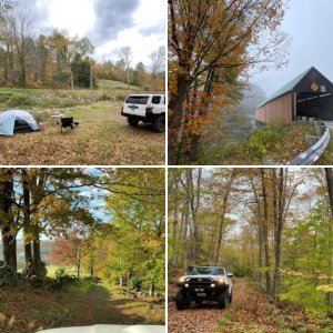 2020 Vermont Overland Birdwatching Safari