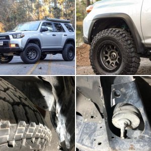 2010 Trail