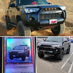19' SR5