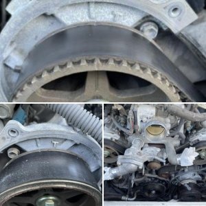 Timing belt