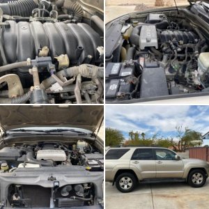 Sexy Beast - 2005 T4R Limited v8 2WD