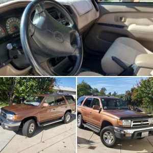 1999 Autumn Blaze 4Runner