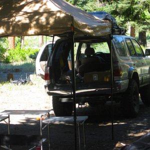 IMG 4335