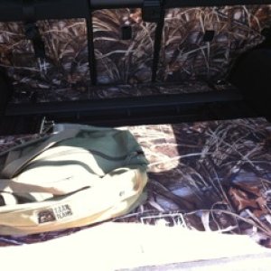 CanvasBack Rear Liner