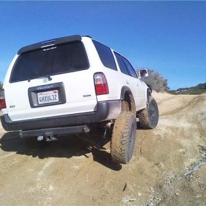 Flexing