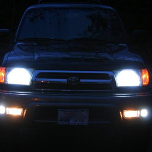 Night Lights!