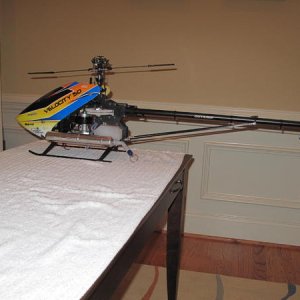 IMG 0337