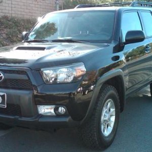 2010 TE
