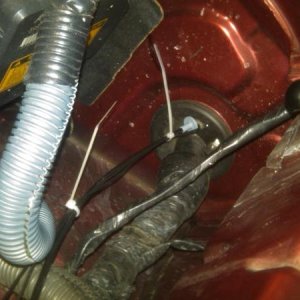 Zip tie the wires to the harness to keep them tidy and in one place