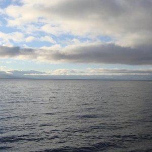 1.3.11 013 copy