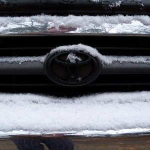Yota in the snow