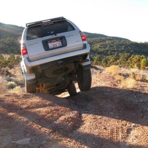 Rosemine near Big Bear CA