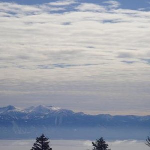 Jan 10, 2011 090 2