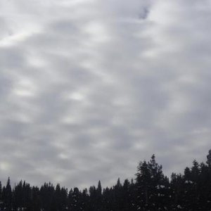 Jan 10, 2011 075 2