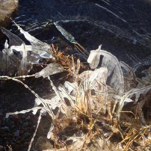 Jan 10, 2011 070 2