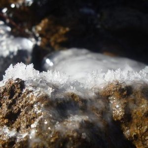 Jan 10, 2011 065 2