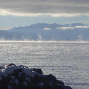 Jan 10, 2011 060 2