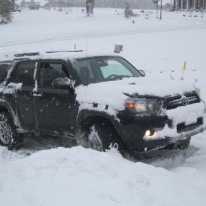 IMG 0936