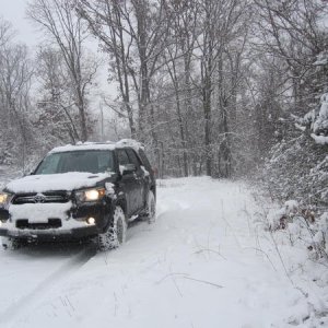 IMG 0945