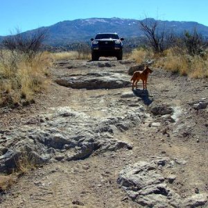 Italian Trap Road with Ladybug