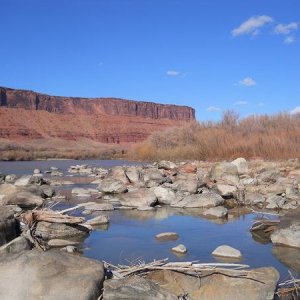 Along the banks of the Colorado River.