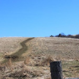 Nearing Summit of Max Patch