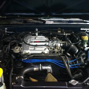 The beast :)