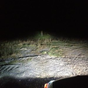 HID lights