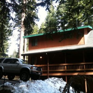Cabin Bear 2