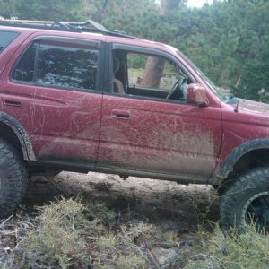 Found a bit of mud, so all was good.