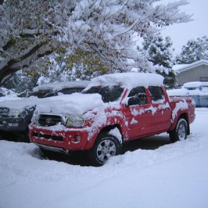 4Runner & Taco Covered with Powda