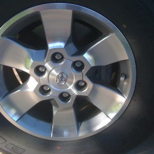 rear passenger
