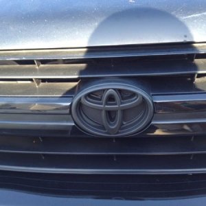 plasti-dipped