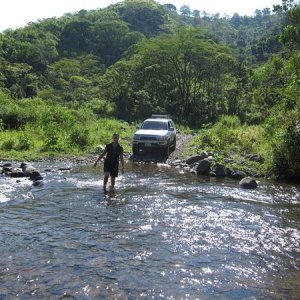 Another Crossing in Costa Rica