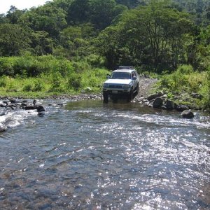 Another Crossing in Costa Rica