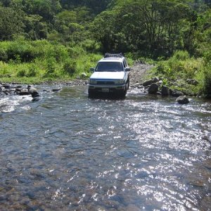 Another Crossing in Costa Rica