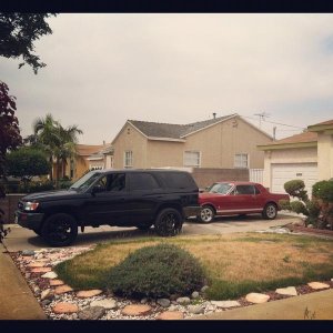 Sheila (4Runner) and Sally (Mustang) sittin pretty