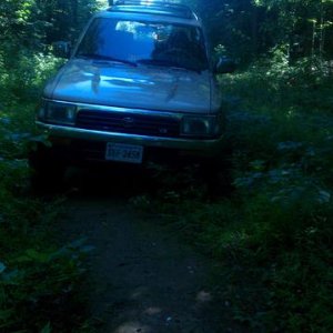IMAG0448
