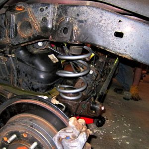 OW 2.5: Eibach rear springs