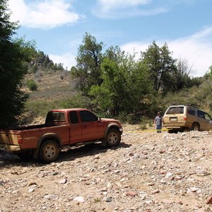Saving the Taco