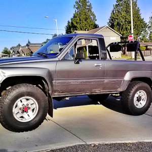 Ready for Summer