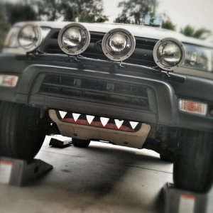 Teeth
