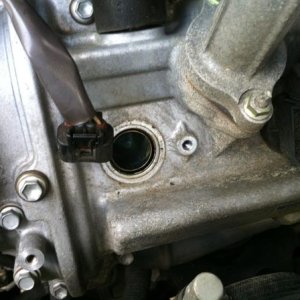 photo (1)