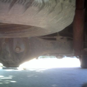 the underside