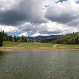 Forest Lake Scenery