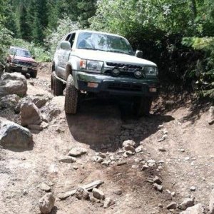 Headed back down the trail.