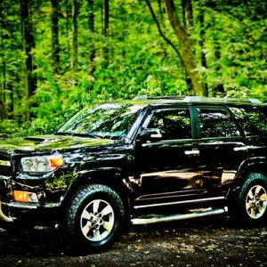 Foxboro,MA state forest