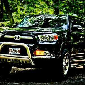 Foxboro,MA state forest